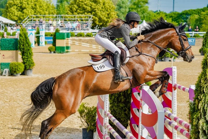 Jumping round in competition