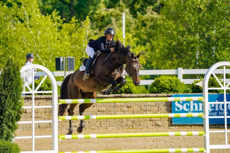 Hunter Derby Finalist