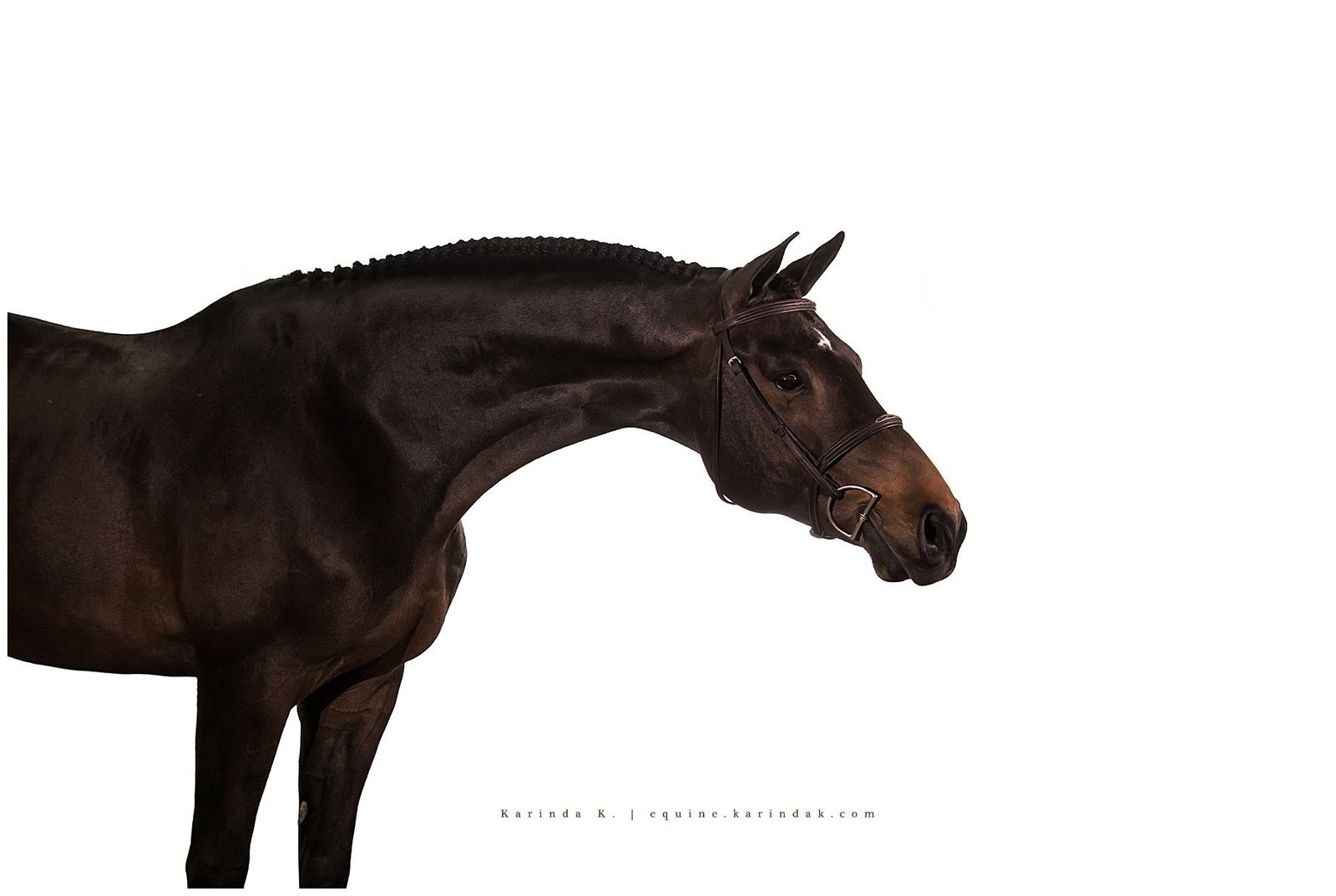 Uno Mas at Fairway Farm